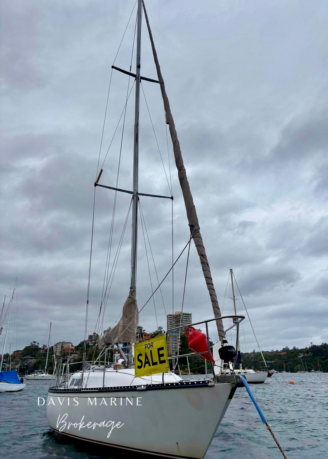 1993 C&C 36 Taylor Maid Sailboat For Sale Sydney 3